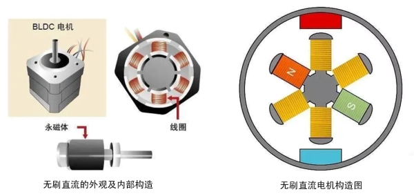 無刷直流電機外觀機內(nèi)部構(gòu)造圖示